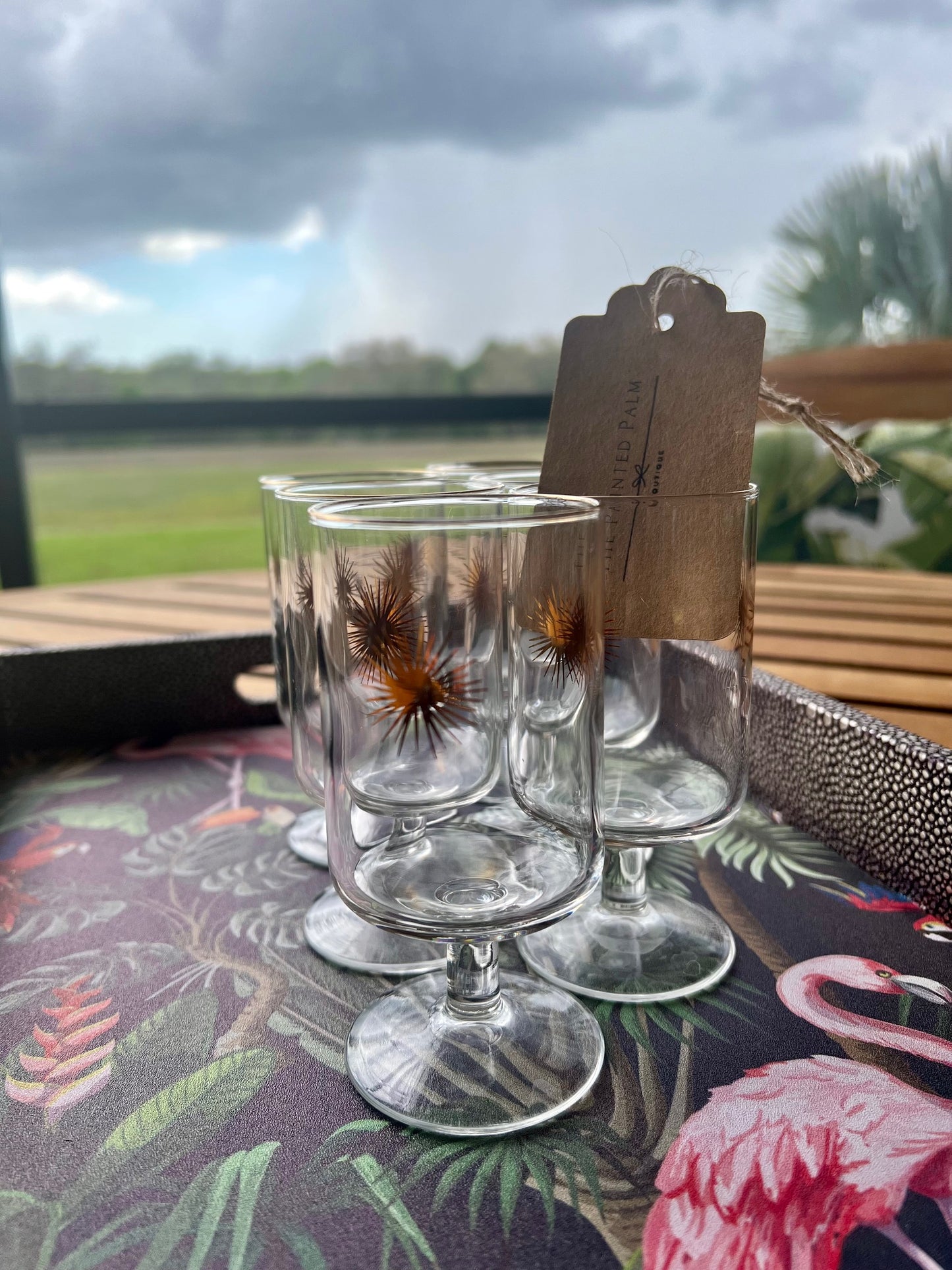 Atomic Starburst Cordial Glasses-2.5oz